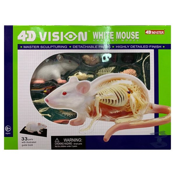 【4D MASTER】立體拼組模型-半透視-白老鼠 26002